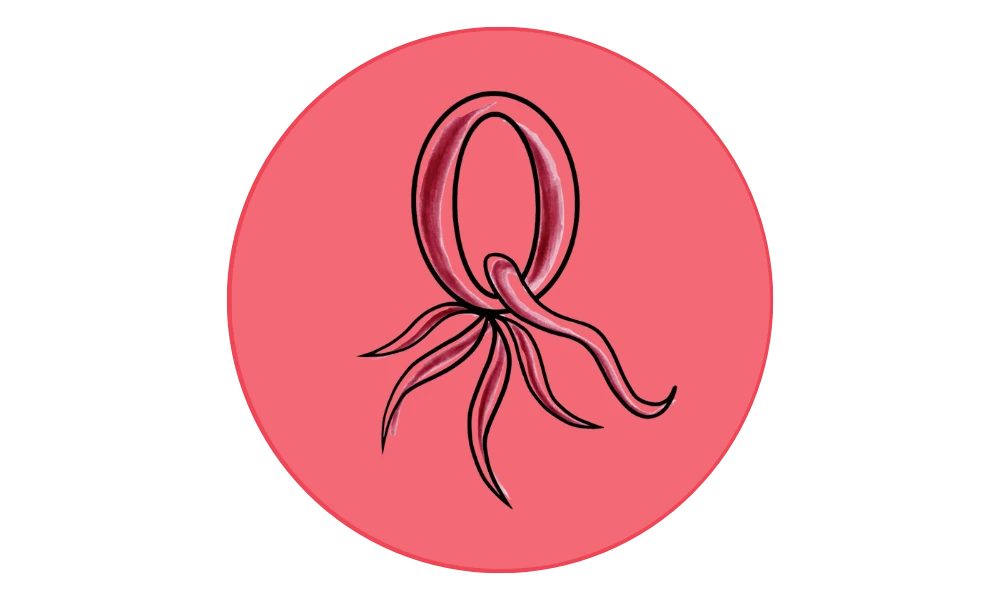 Qualle-Logo: stilisierte Qualle als Q-Form in Rosa auf rotem Kreis